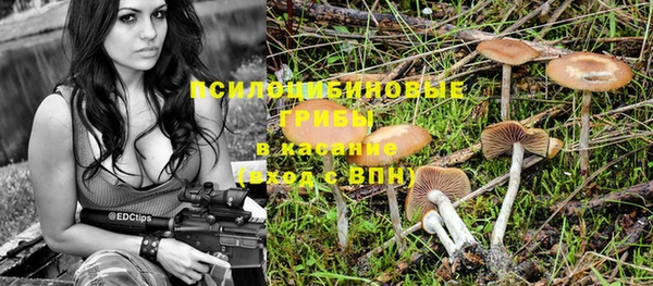 твердый Алексеевка
