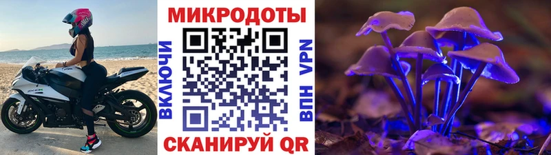 Псилоцибиновые грибы прущие грибы закладка Карпинск